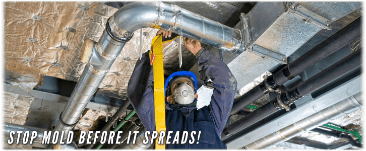 Air Duct Mold Removal in Miami FL