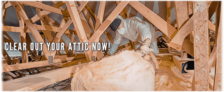 Attic Cleaning Miami FL